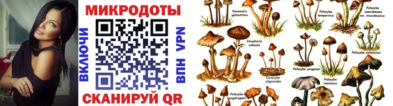 Галлюциногенные грибы GOLDEN TEACHER Тогучин