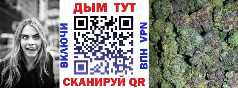 Канабис VHQ  купить закладку  Тогучин 